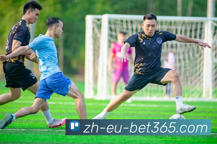 App Interface Preview